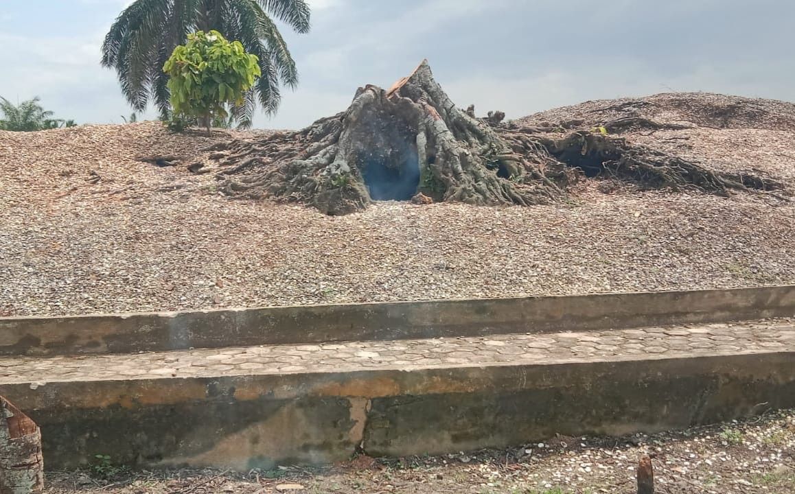 Bukit Kerang: Bukti Peradaban Prasejarah di Aceh Tamiang