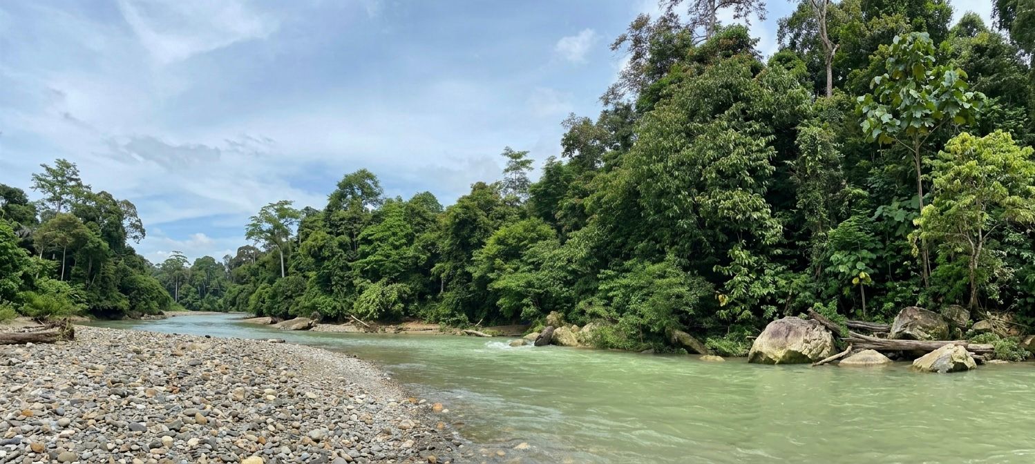 Pesona Alam Tangkahan Memikat Wisatawan dari berbagai daerah