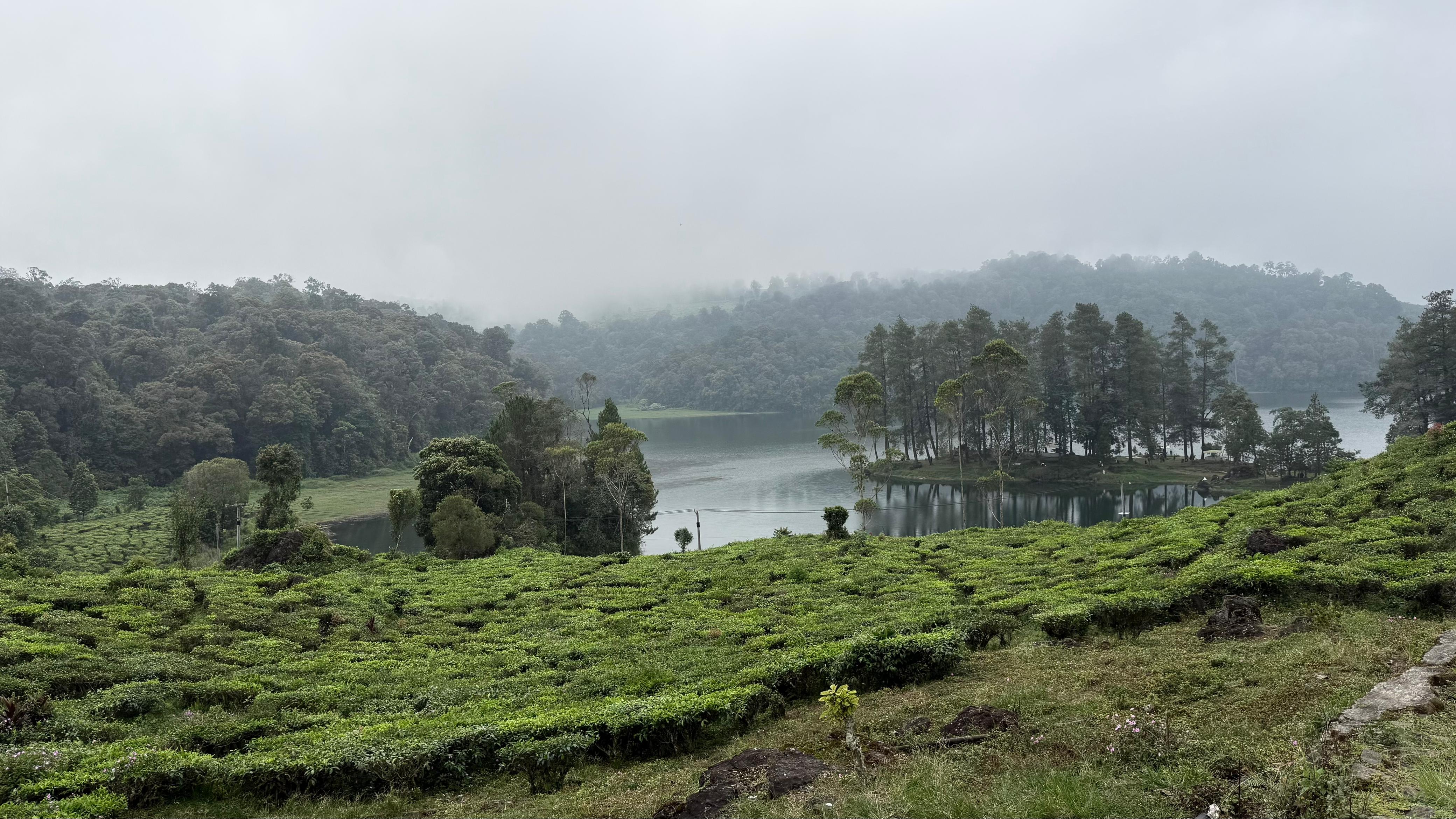 Ciwidey Jadi Destinasi Favorit Wisata Alam, Danau Situ Patenggang Tarik Banyak Pengunjung