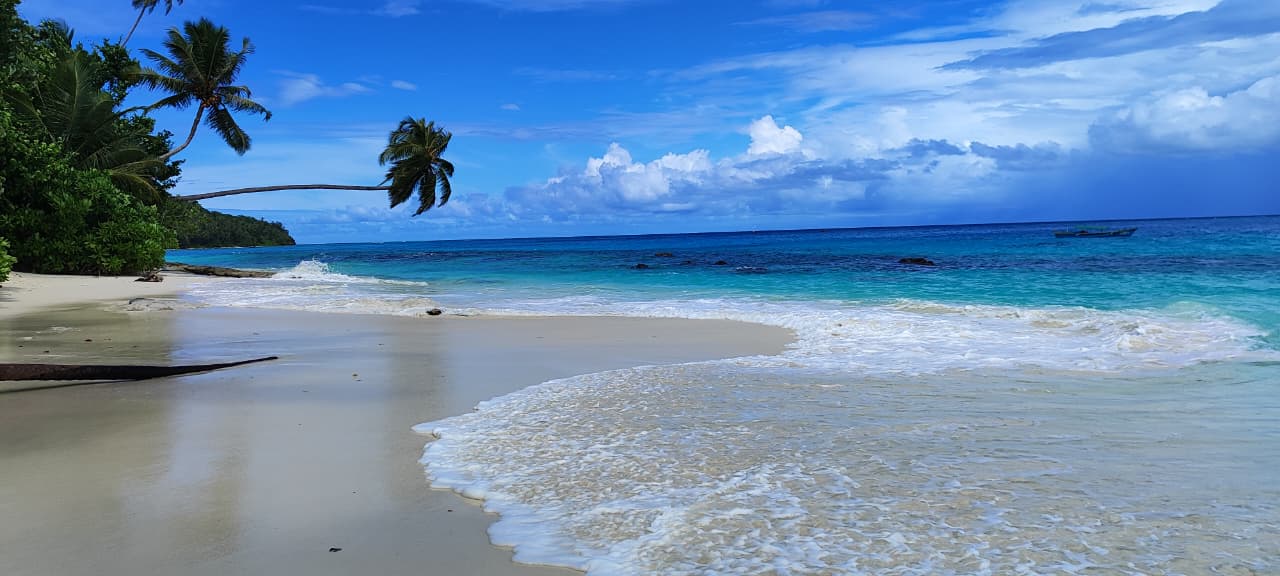 Pulau Siumat, Destinasi Healing dengan Panorama Menawan