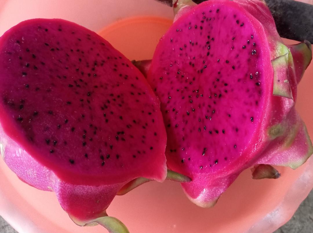 Buah Naga, Pilihan Makanan Sehat Kaya Nutrisi