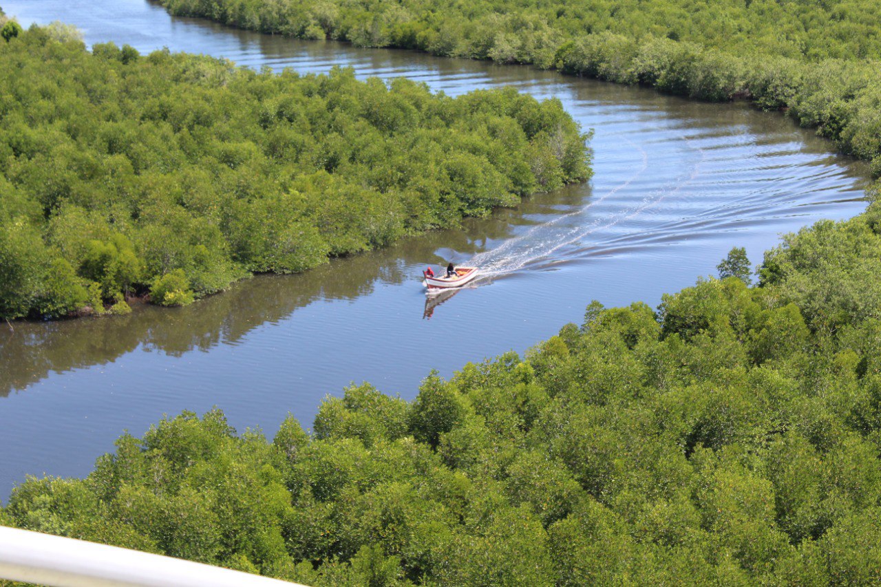 Panorama Mangrove Langsa dari Menara Pandang Jadi Tempat Healing