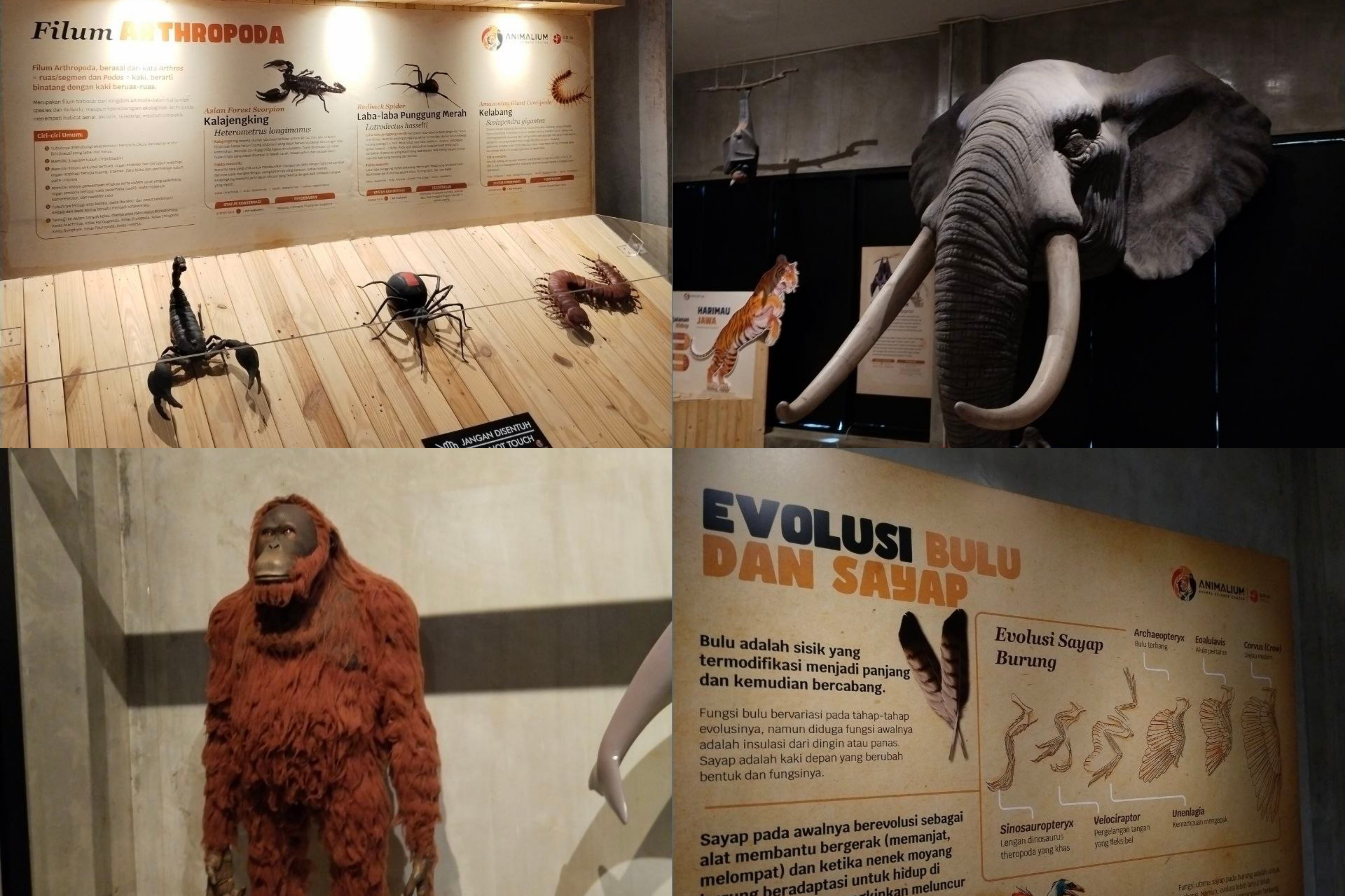 Animalium BRIN Jadi Tempat Hiburan Sekaligus Edukasi