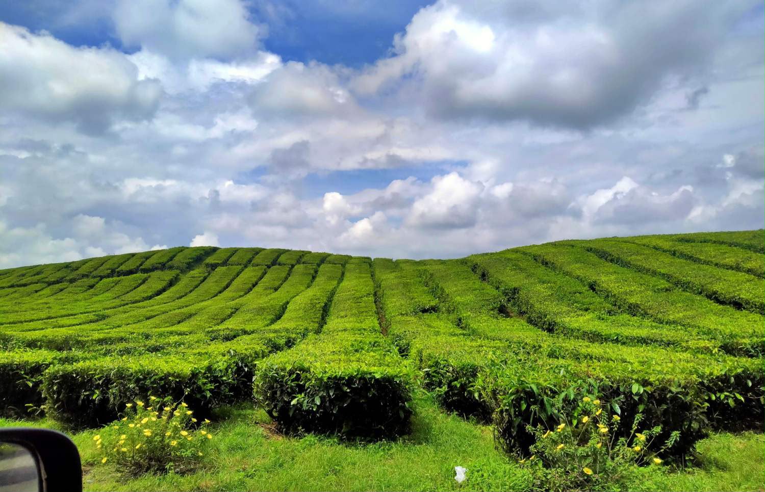 Pesona Bukit Teletubbies Sidamanik, Hidden Gem Penikmat Sunset