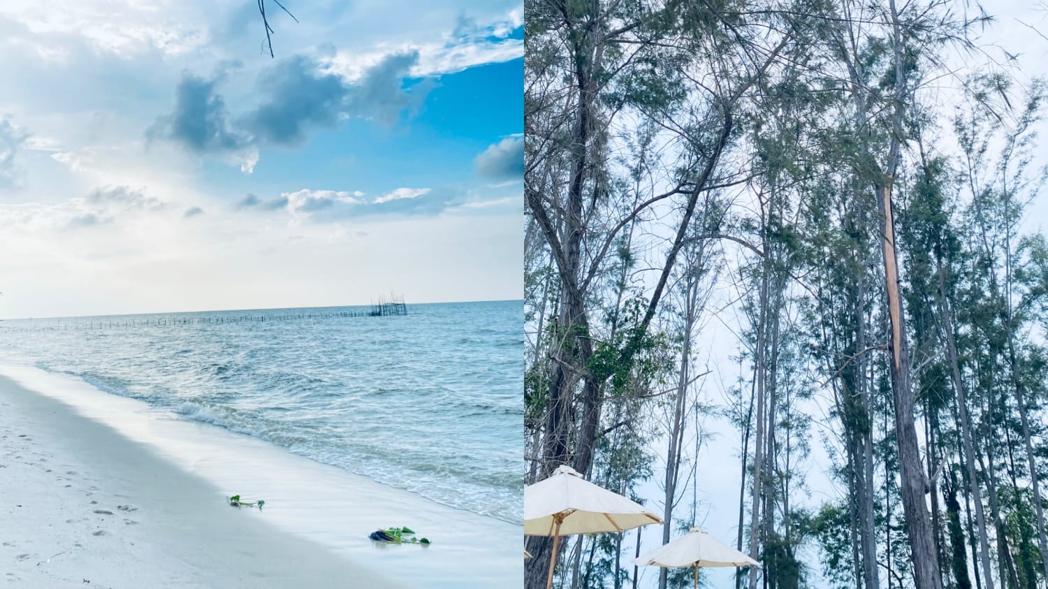 Wisata Pantai Cemara Kembar, Pilihan Tepat Menghabiskan Waktu Libur